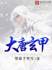 大唐玄甲军电视剧