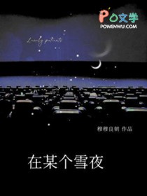 在某个雪夜百度云